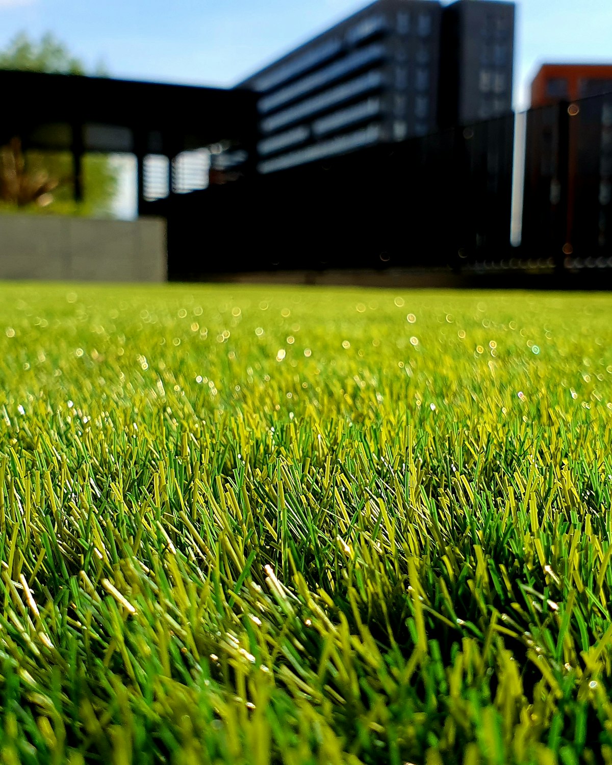 Landscaped grounds beside a modern building